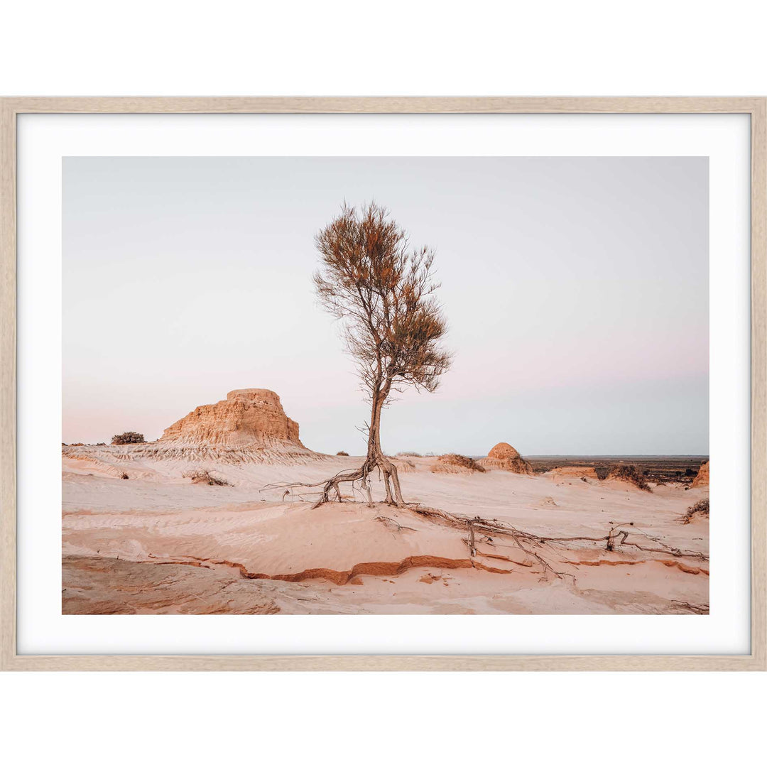 Mungo National Park