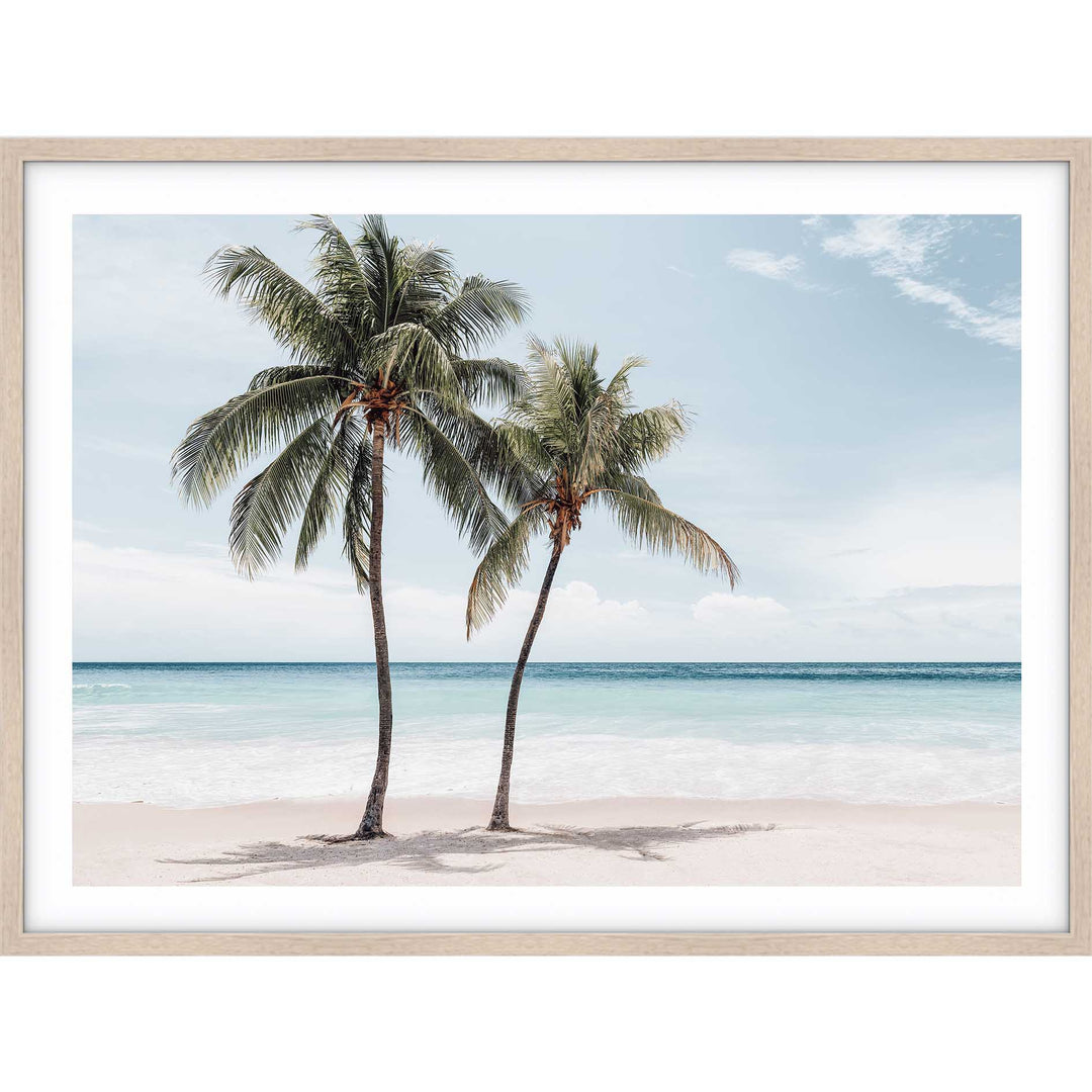 Maldive Palms III
