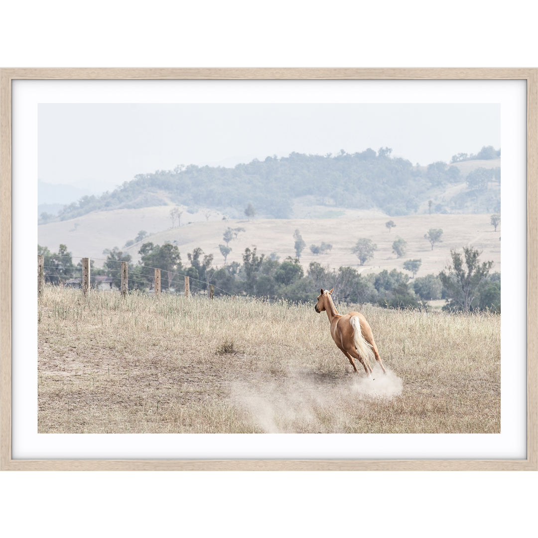 Ishani - The Hunter Valley