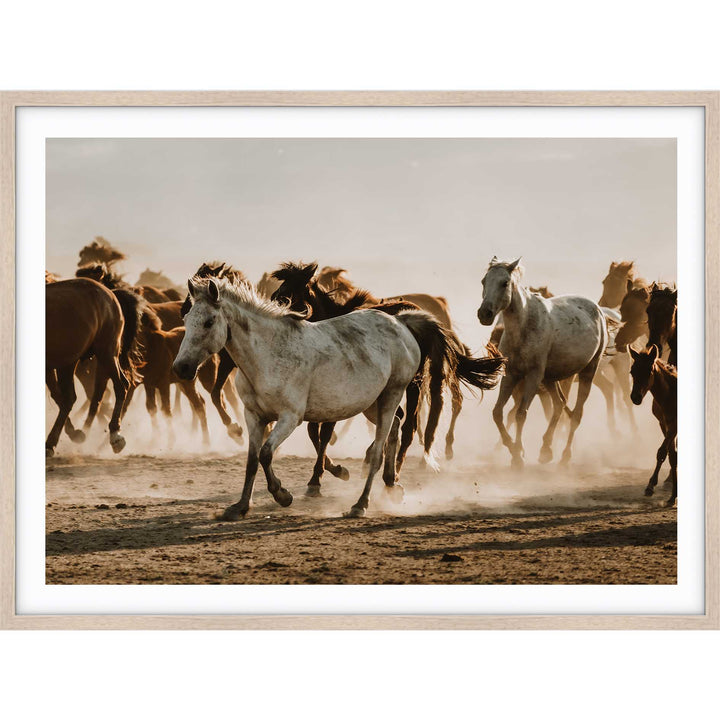 Mustering Italy II