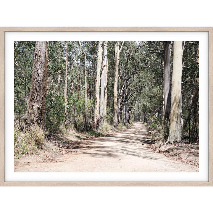 Gumtrees LS - The Hunter Valley