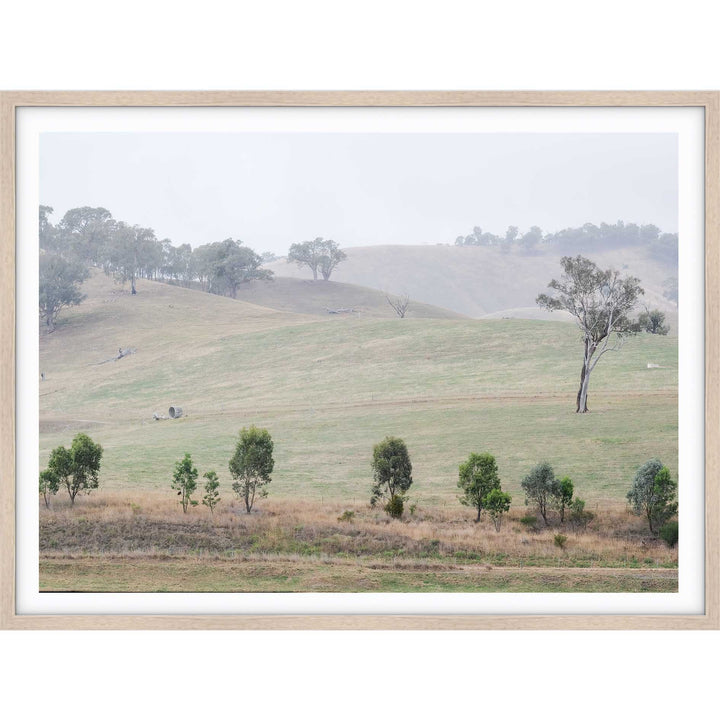 Bonnie Doon - Victoria