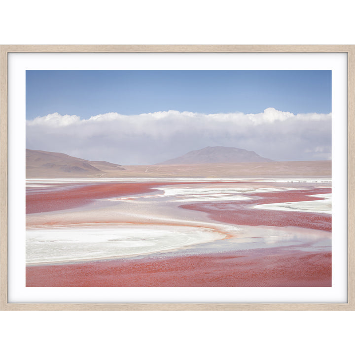 Pink Salt - Bolivia