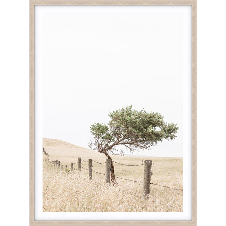 Fence - Country Victoria