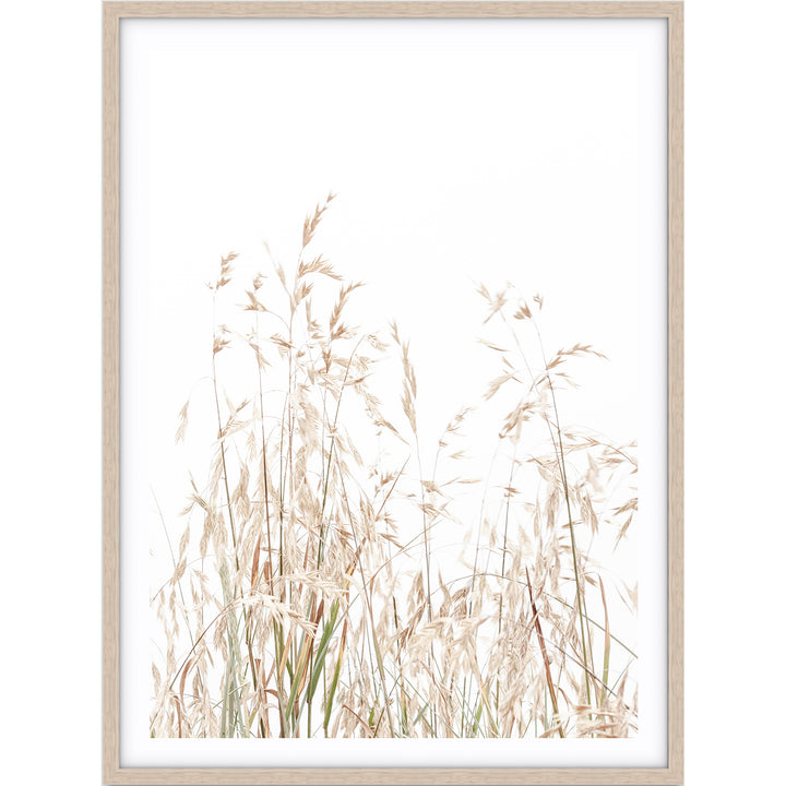 Country Grass no.1