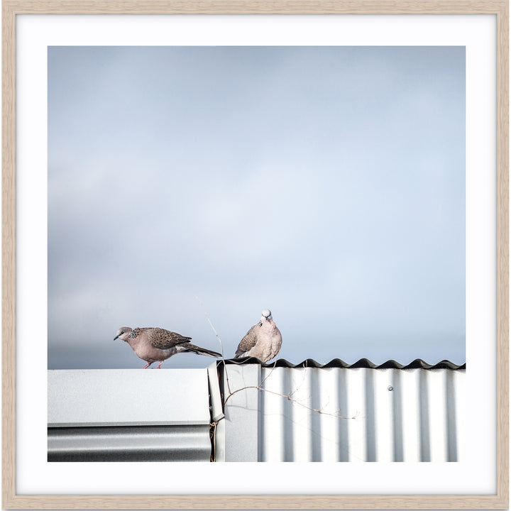 On A Tin Roof - SQUARE