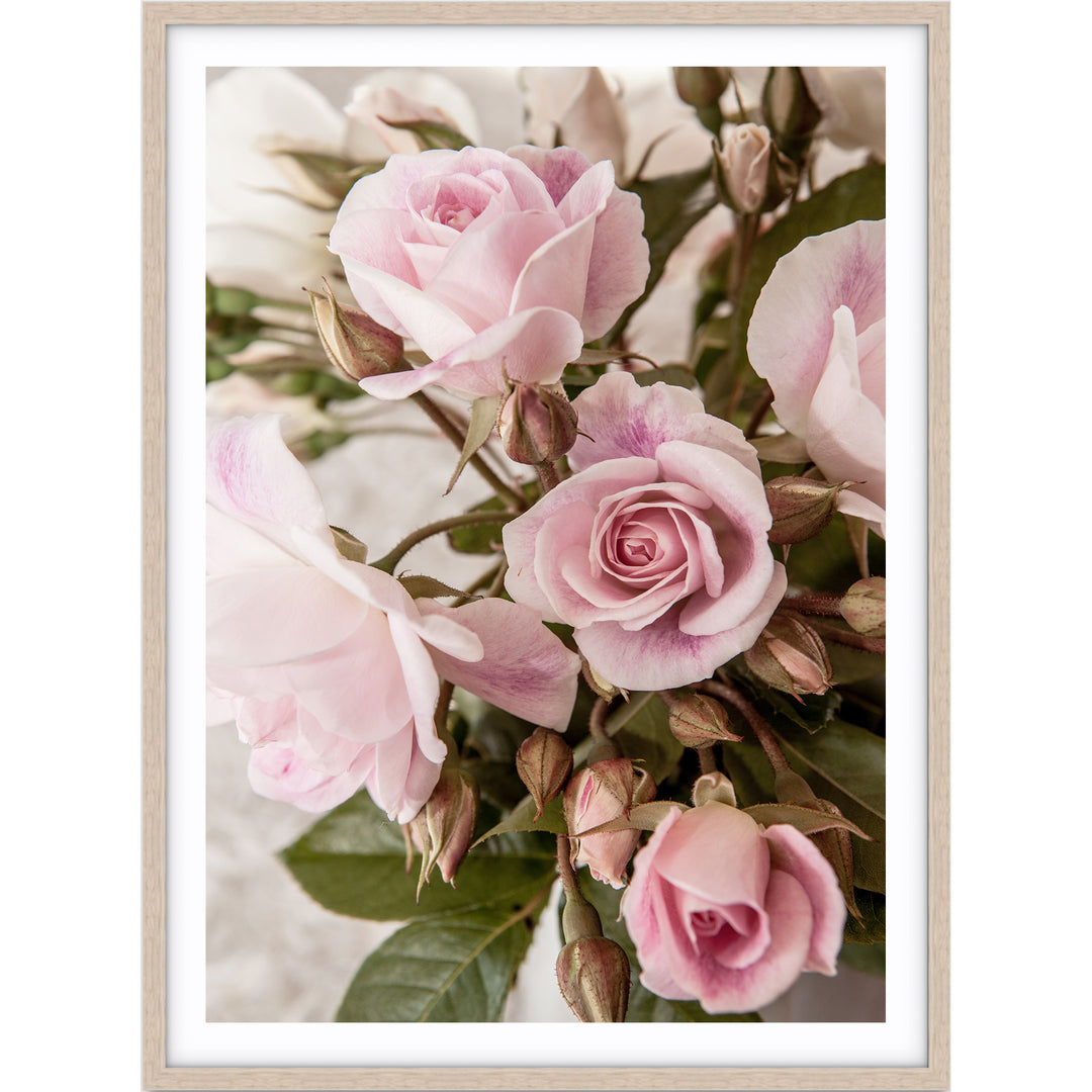 Rose Garden I