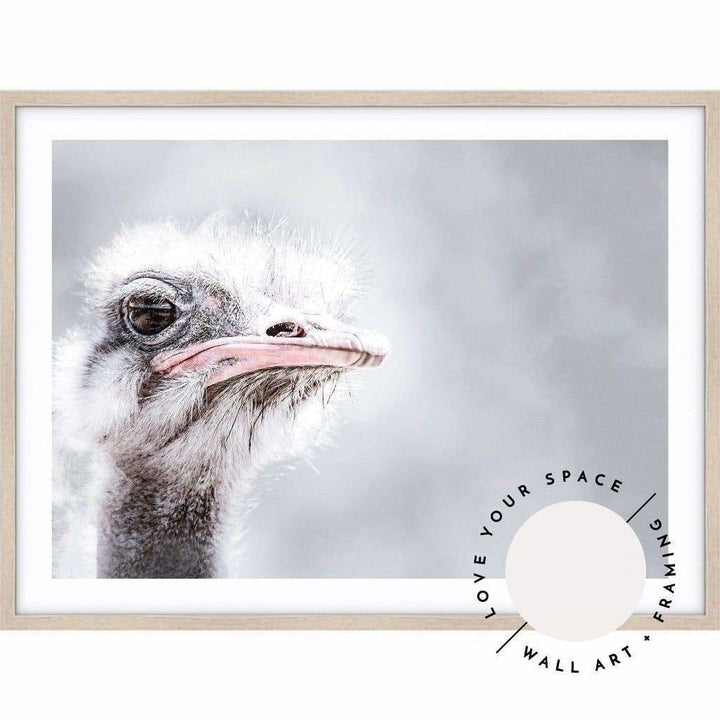 Ostrich - Love Your Space