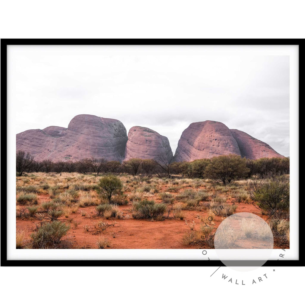 Our Land Uluru II