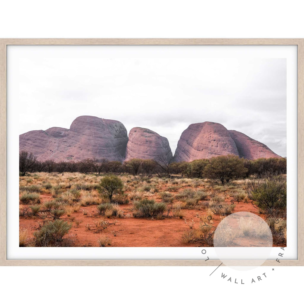 Our Land Uluru II