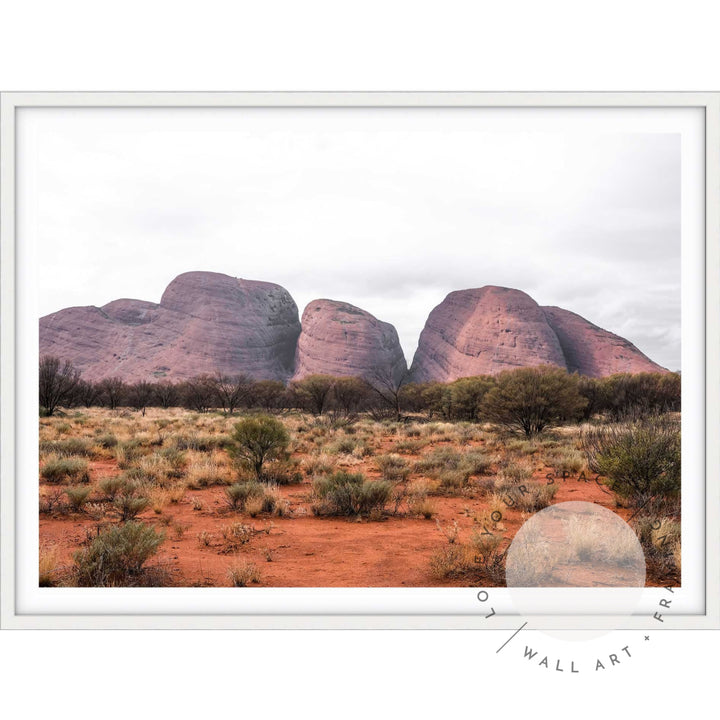 Our Land Uluru II