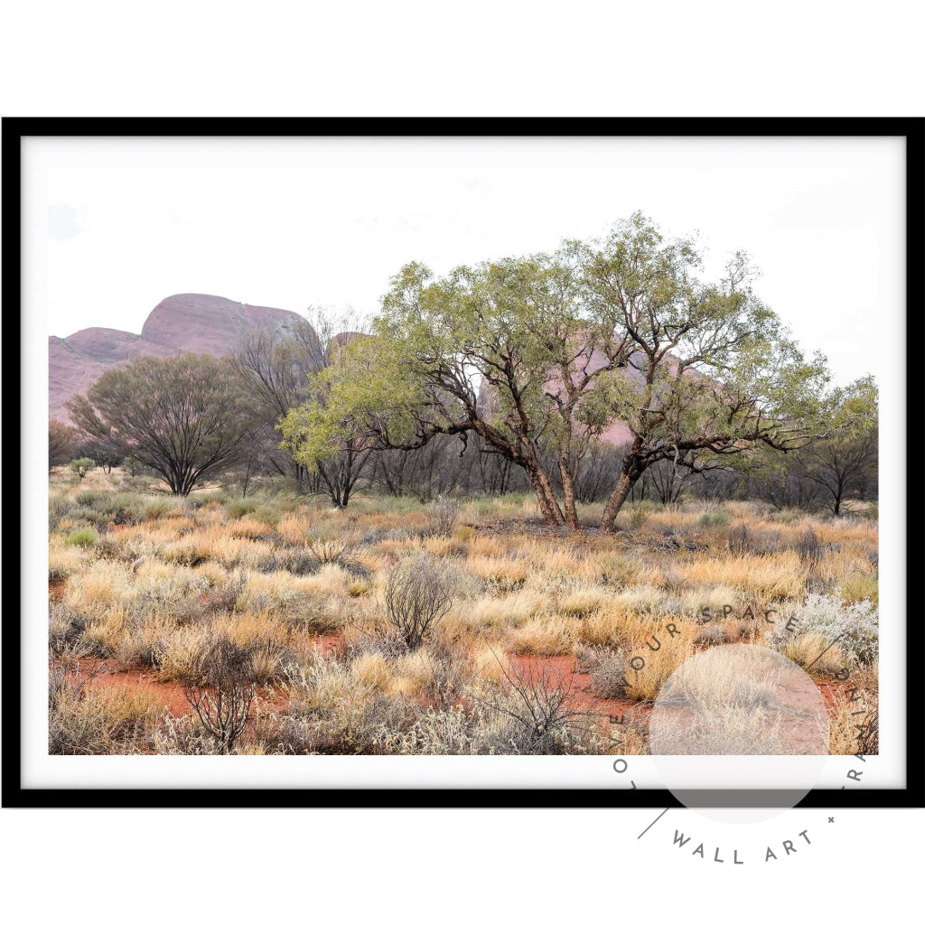 Our Land Uluru III