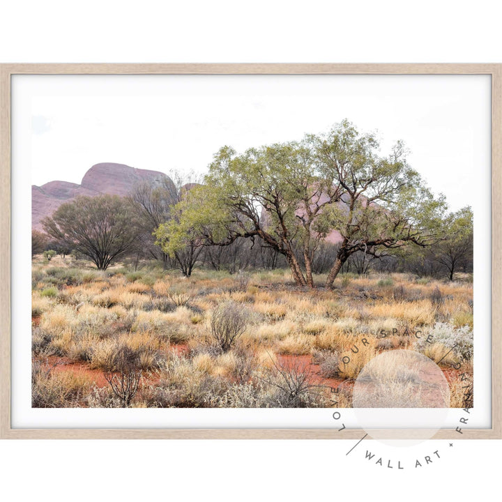 Our Land Uluru III