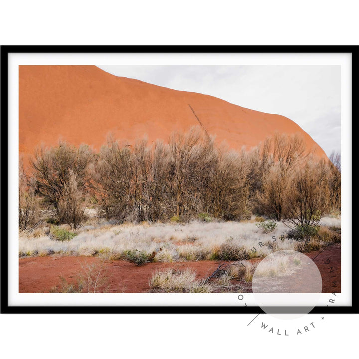 Our Land Uluru IV