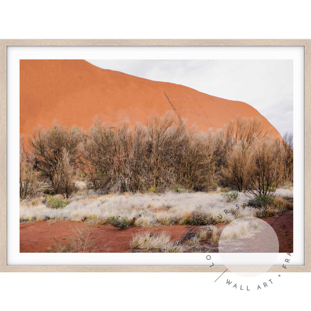 Our Land Uluru IV