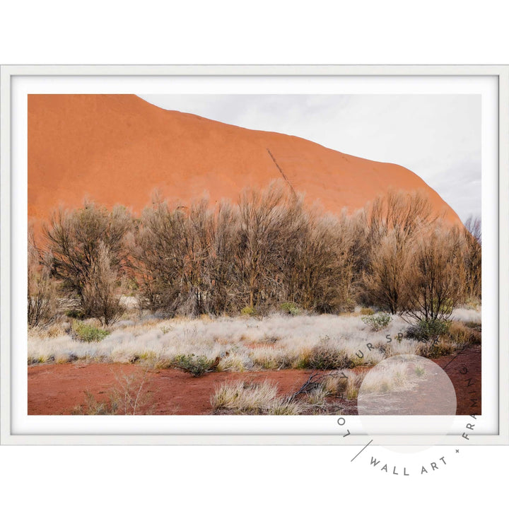 Our Land Uluru IV