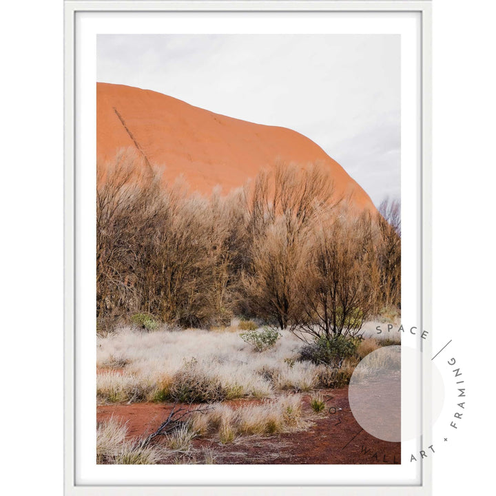 Our Land Uluru IV - Portrait