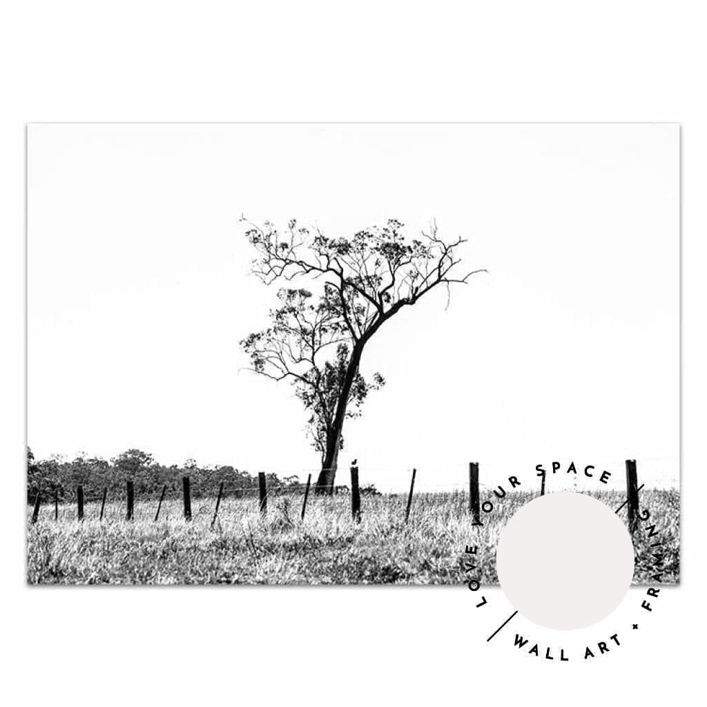 Outback no.2 - Black & White - The Hunter Valley - Love Your Space