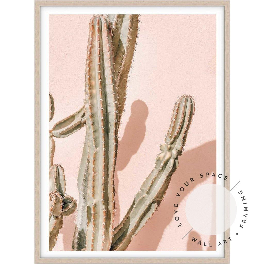 Palm Springs Cactus no.1 - Love Your Space