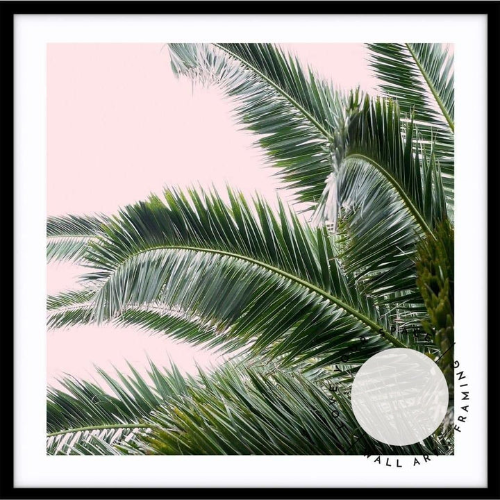 Palms On Pink - SQUARE - Love Your Space