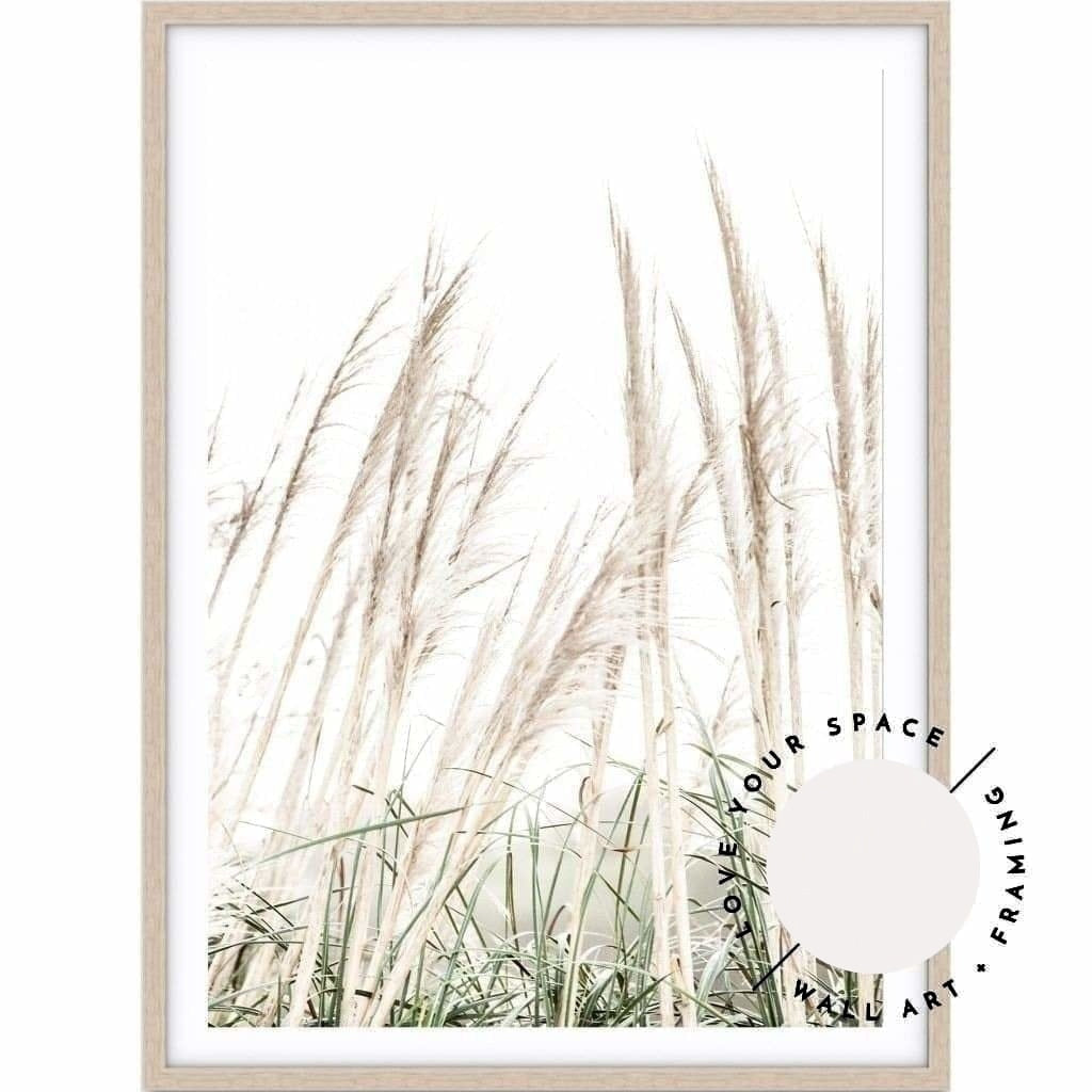 Pampas Grass no.2 - Love Your Space