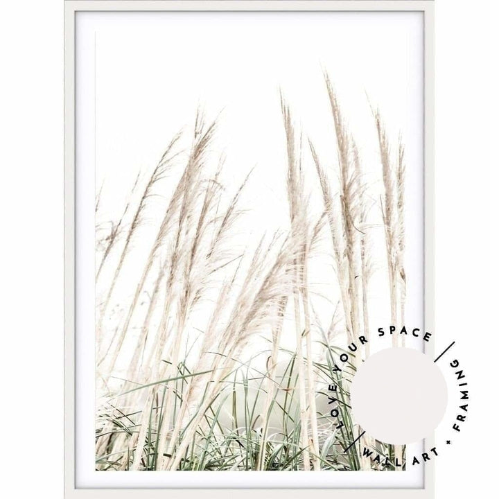 Pampas Grass no.2 - Love Your Space