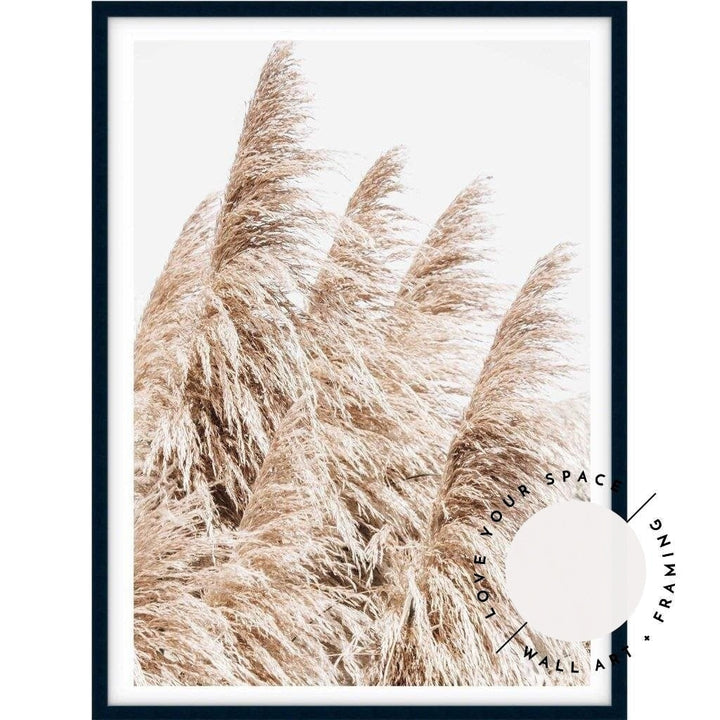 Pampas Grass no.3 - Love Your Space