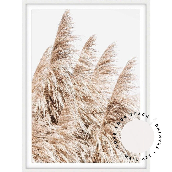 Pampas Grass no.3 - Love Your Space