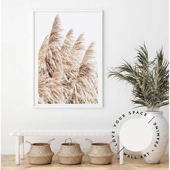 Pampas Grass no.3 - Love Your Space