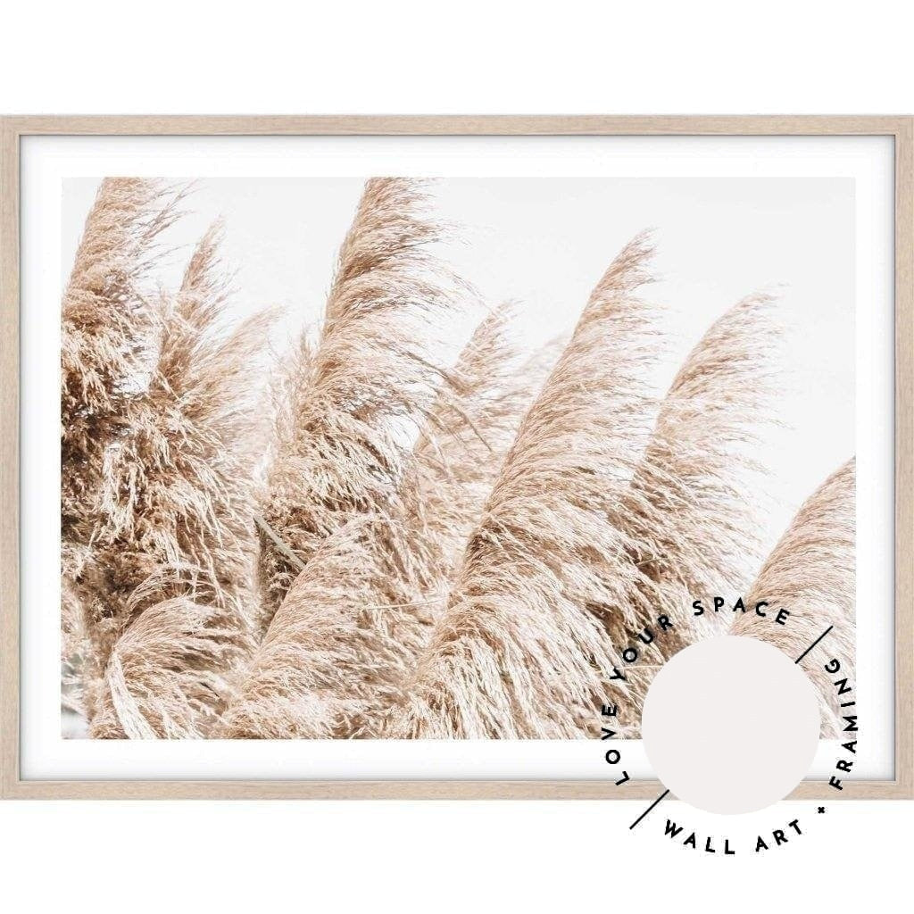 Pampas Grass no.4 - Love Your Space