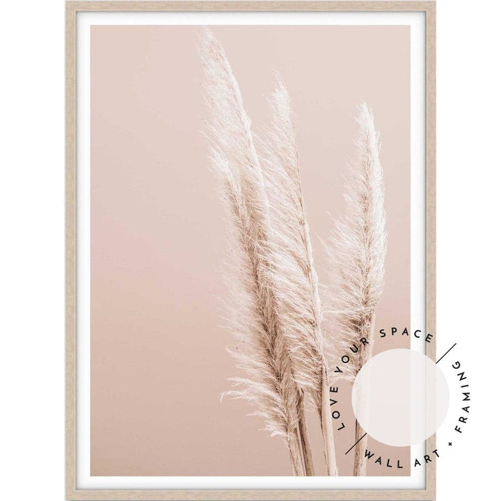 Pampas on Peach - Love Your Space