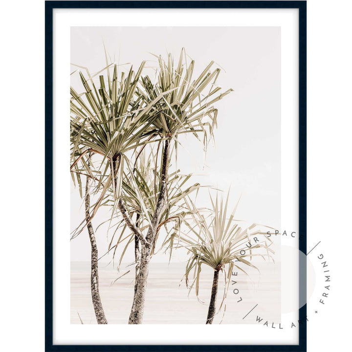 Pandanus Trees I