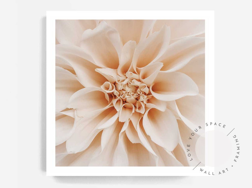 Peach Dahlia - SQUARE