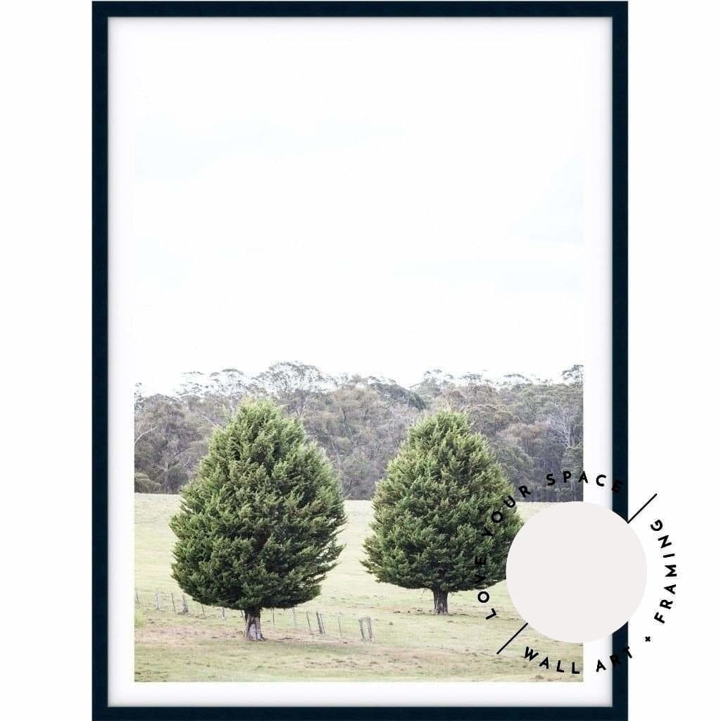 Pine Trees - Country Victoria - Love Your Space