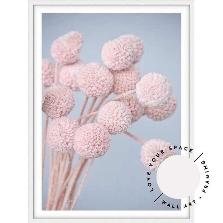 Pink Billy Buttons - Love Your Space