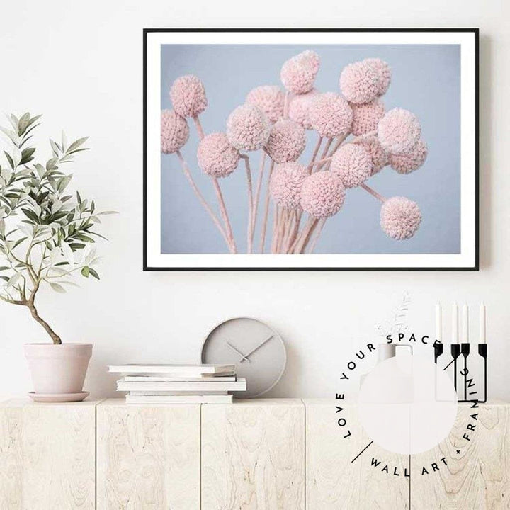 Pink Billy Buttons - LS - Love Your Space