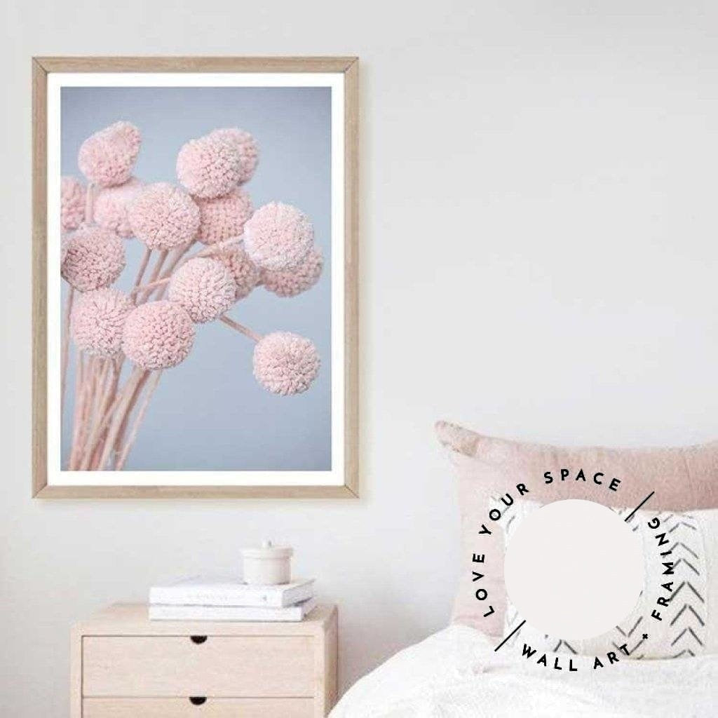 Pink Billy Buttons - Love Your Space