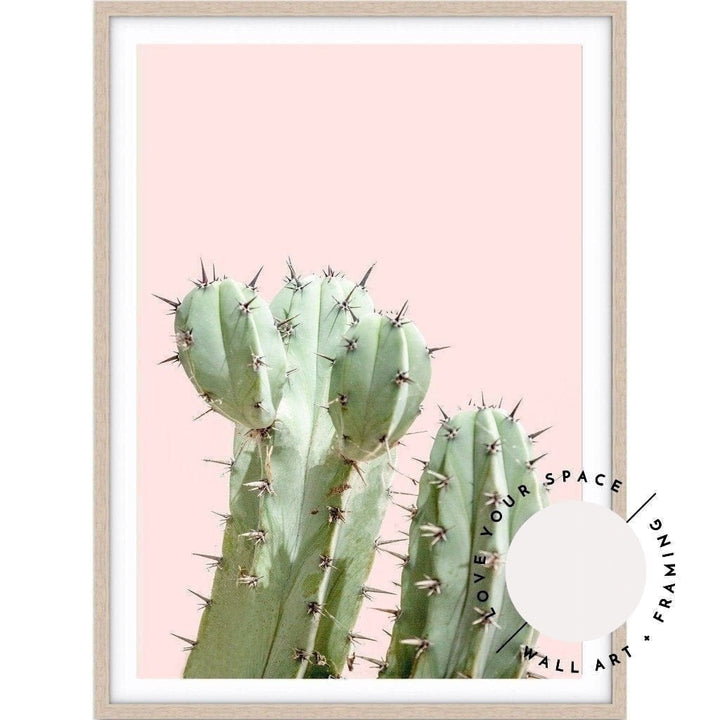 Pink Cactus - Love Your Space