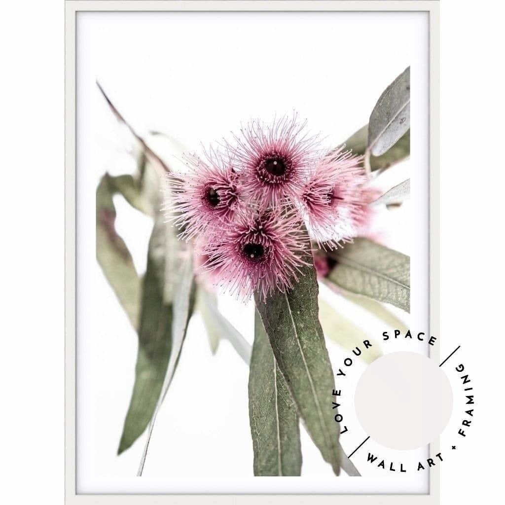Pink Eucalyptus no.1 - Love Your Space