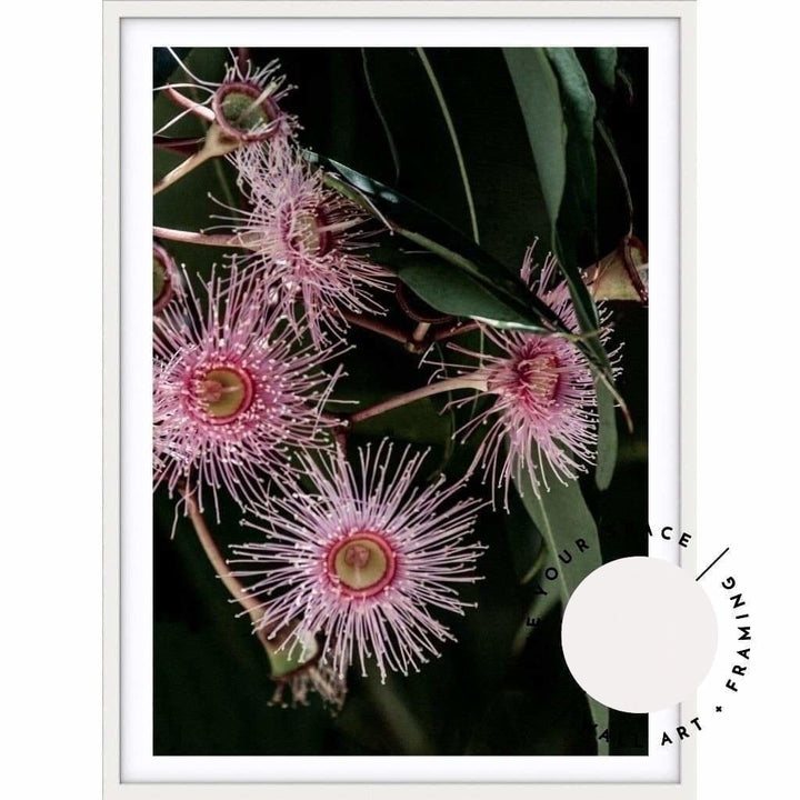 Pink Eucalyptus no.2 - Love Your Space