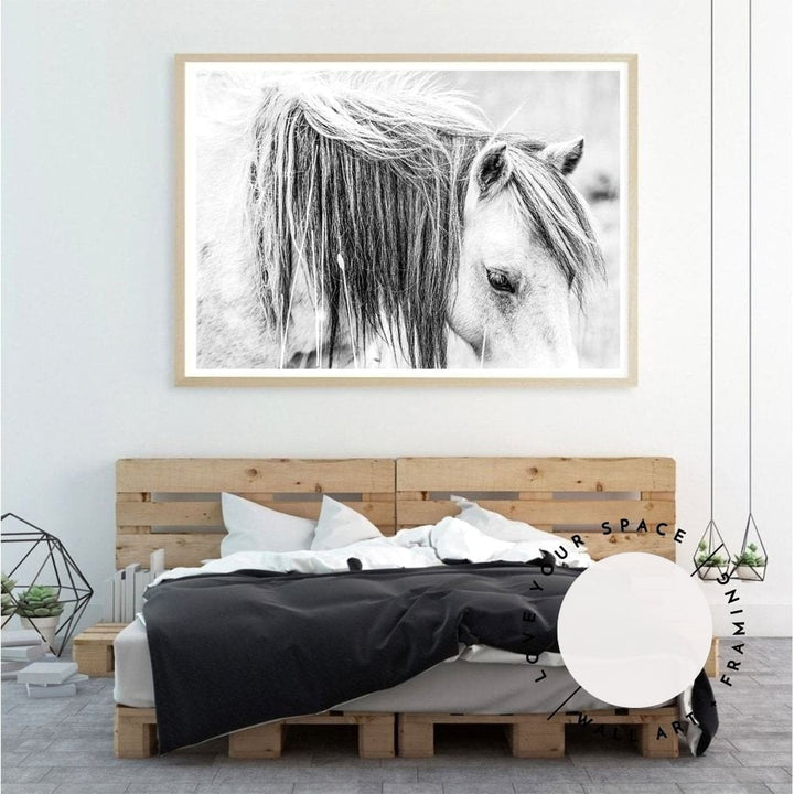 Pony I - Black & White - Love Your Space