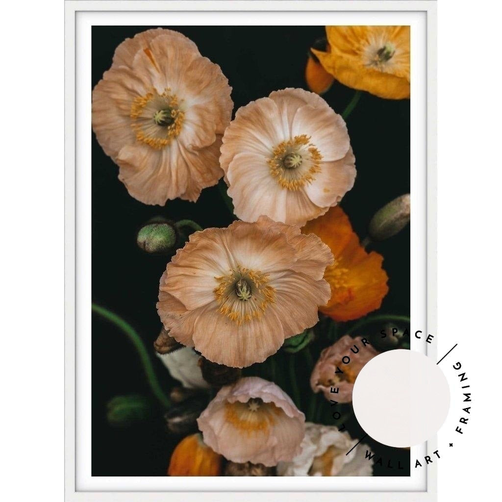 Pretty Poppies no.4 - Love Your Space