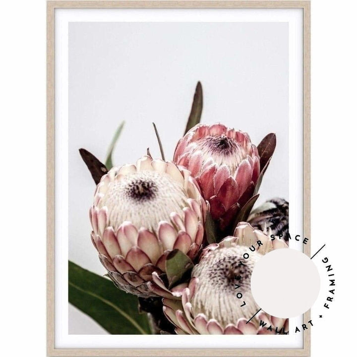 Protea I - Love Your Space