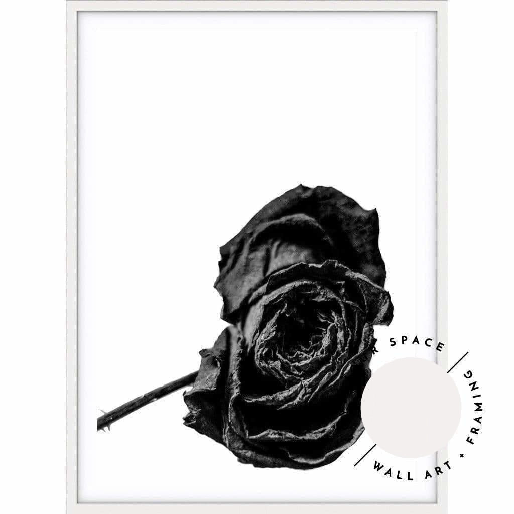 Red Rose B+W - Love Your Space