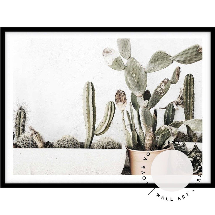 Rustic Cactus - Love Your Space