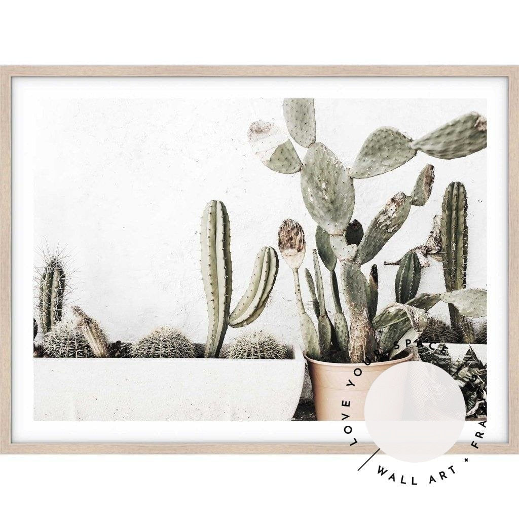 Rustic Cactus - Love Your Space