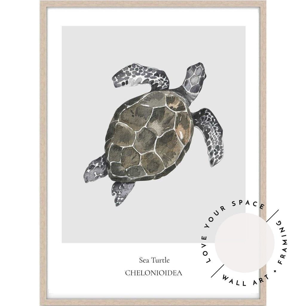 Sea Turtle - Love Your Space