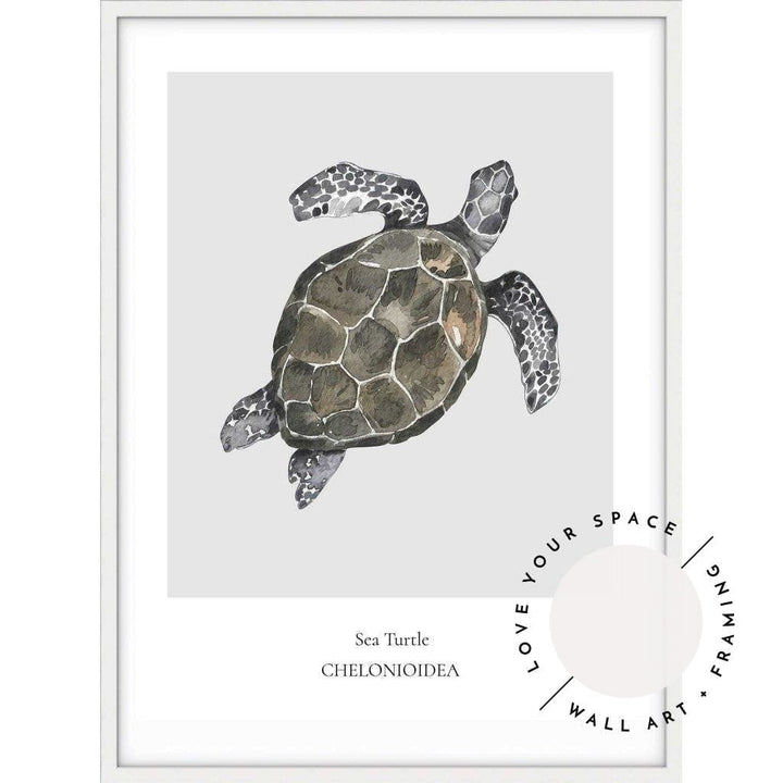 Sea Turtle - Love Your Space