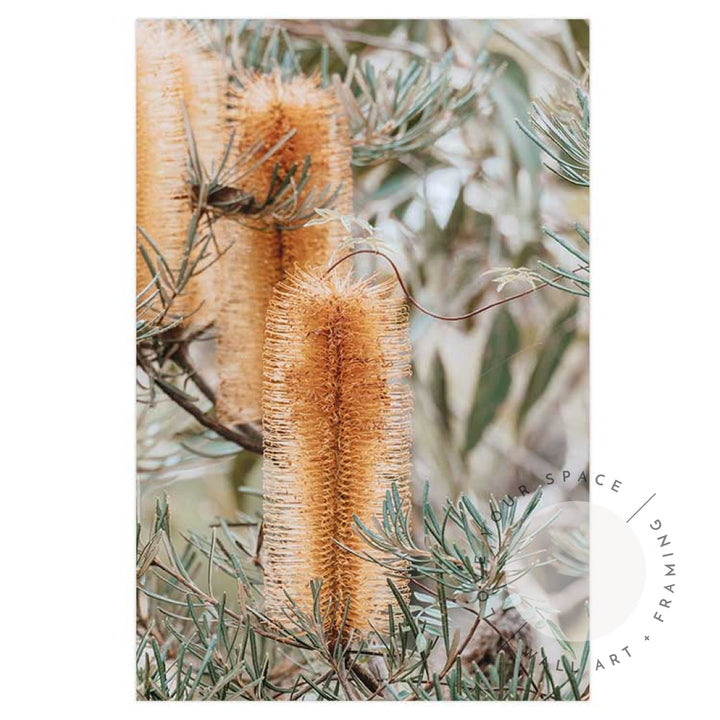 Set of 2 - Banksia I & II Frazer Beach