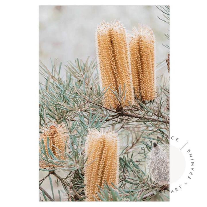 Set of 2 - Banksia I & II Frazer Beach